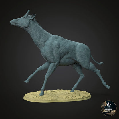 Samotherium