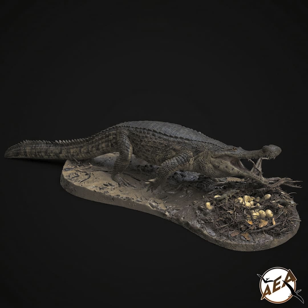 Sarcosuchus imperator