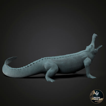 Sarcosuchus imperator