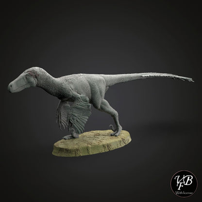 Saurornitholestes langstoni