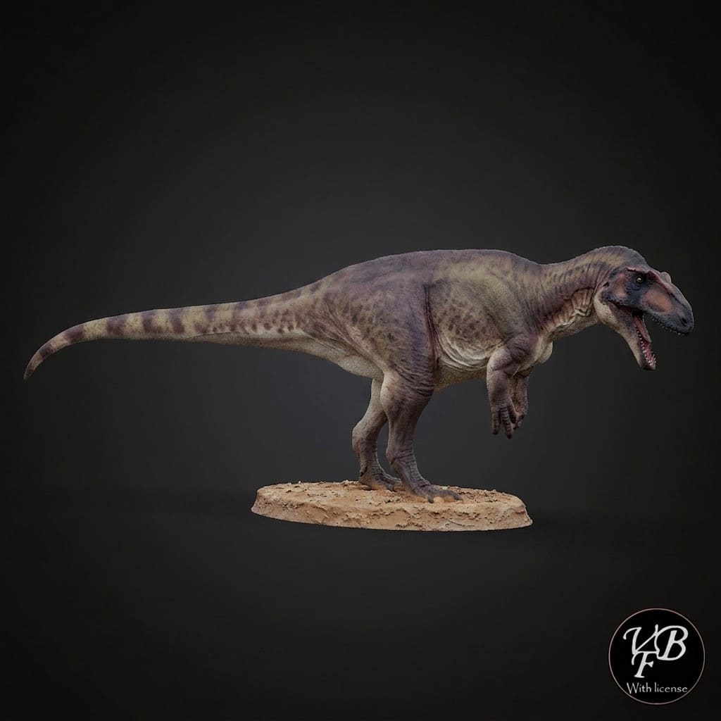 Shaochilong maortuensis