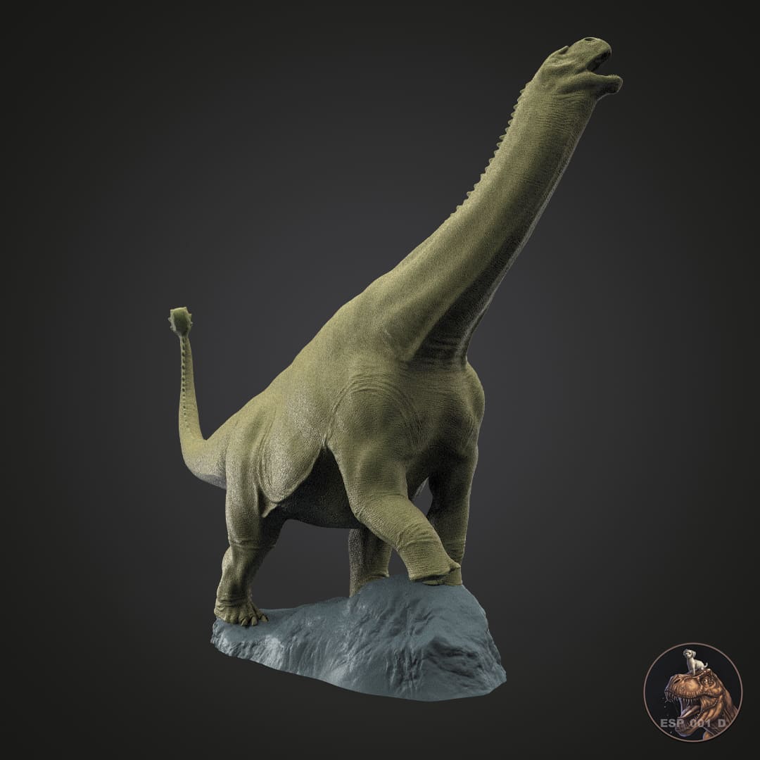 Hungasaurus Shunosaurus jiangyiensis – Dinosauria Creatures
