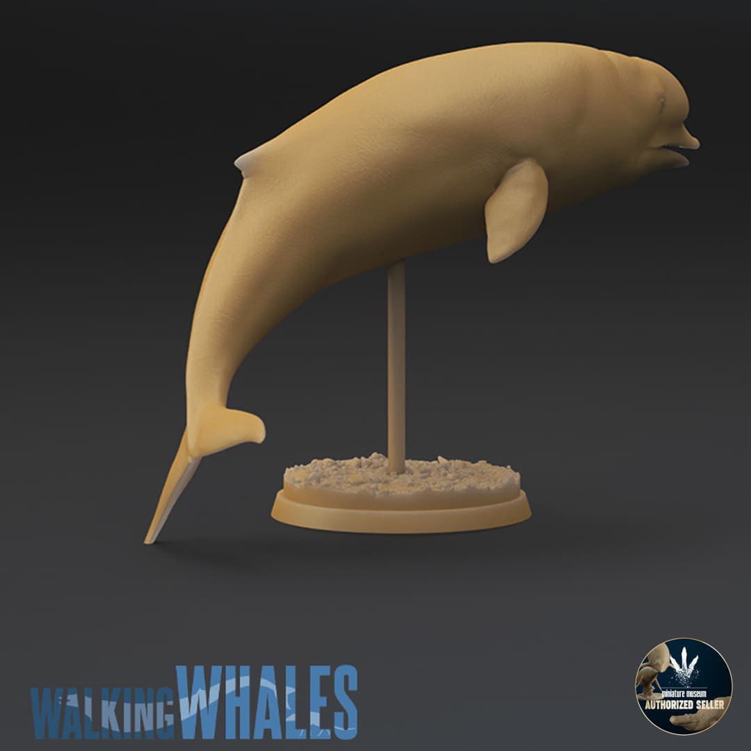 Simocetus rayi – Dinosauria Creatures