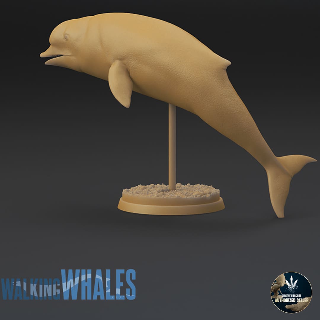 Simocetus rayi – Dinosauria Creatures