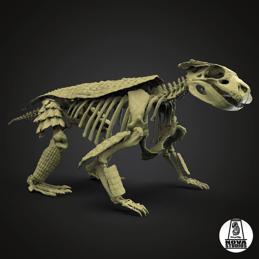 Simosuchus clarki