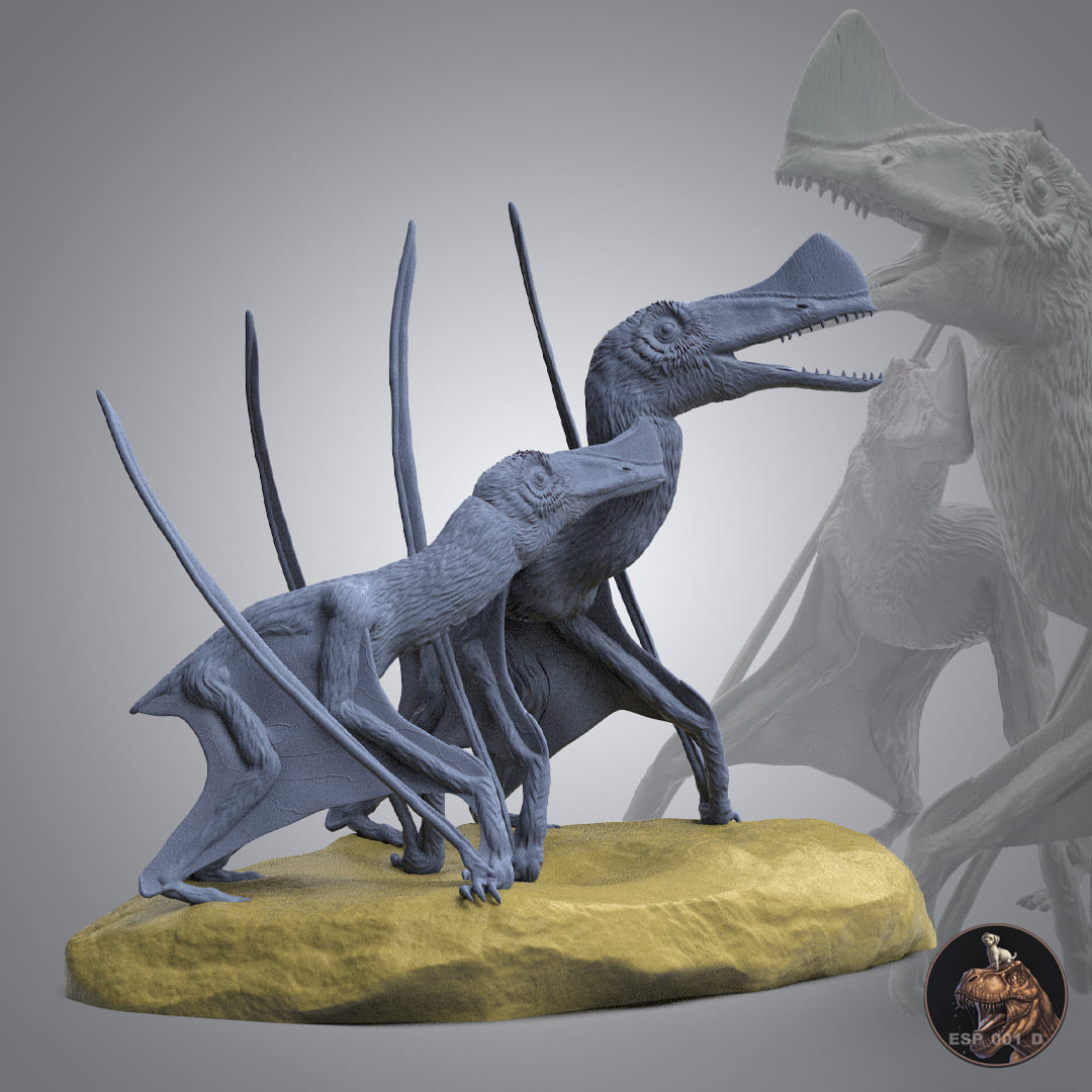 Skiphosoura bavarica