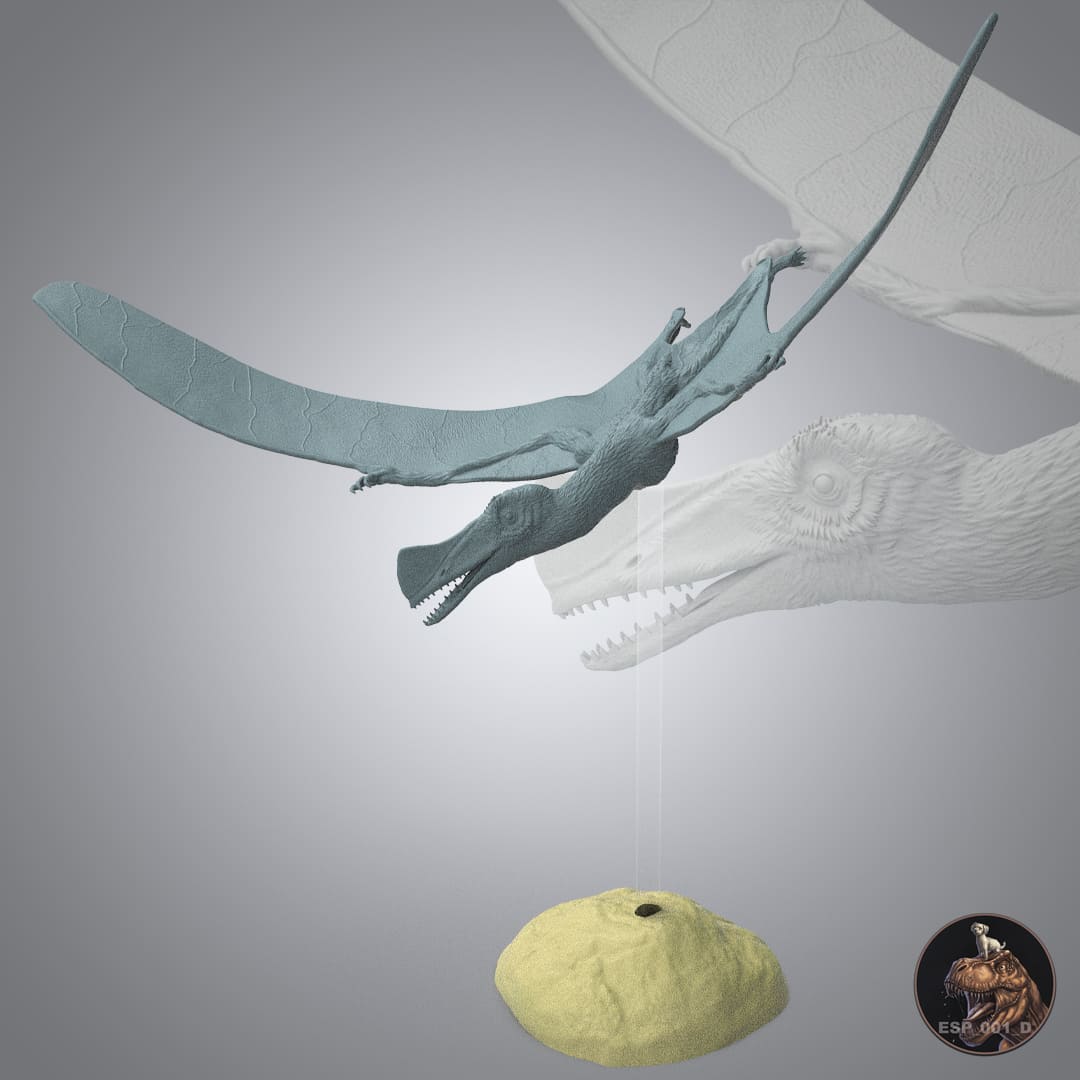 Skiphosoura bavarica