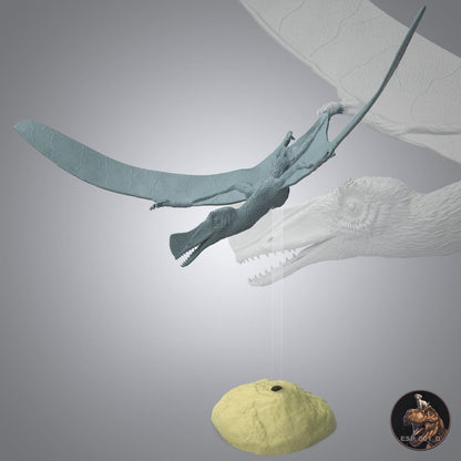 Skiphosoura bavarica