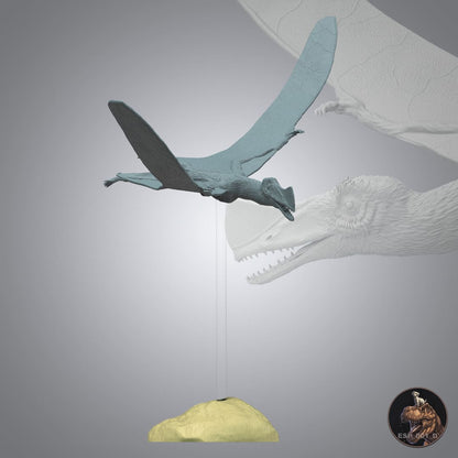 Skiphosoura bavarica