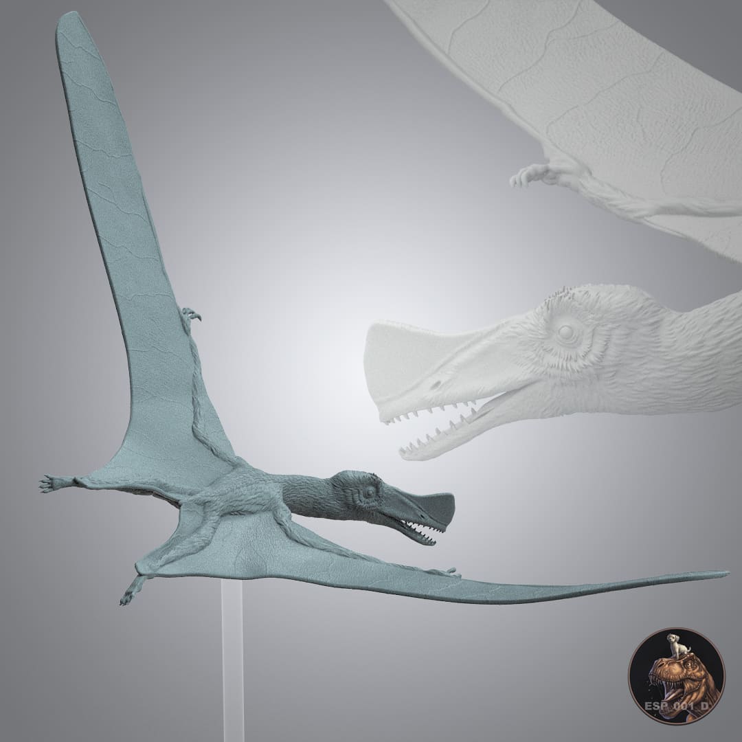 Skiphosoura bavarica