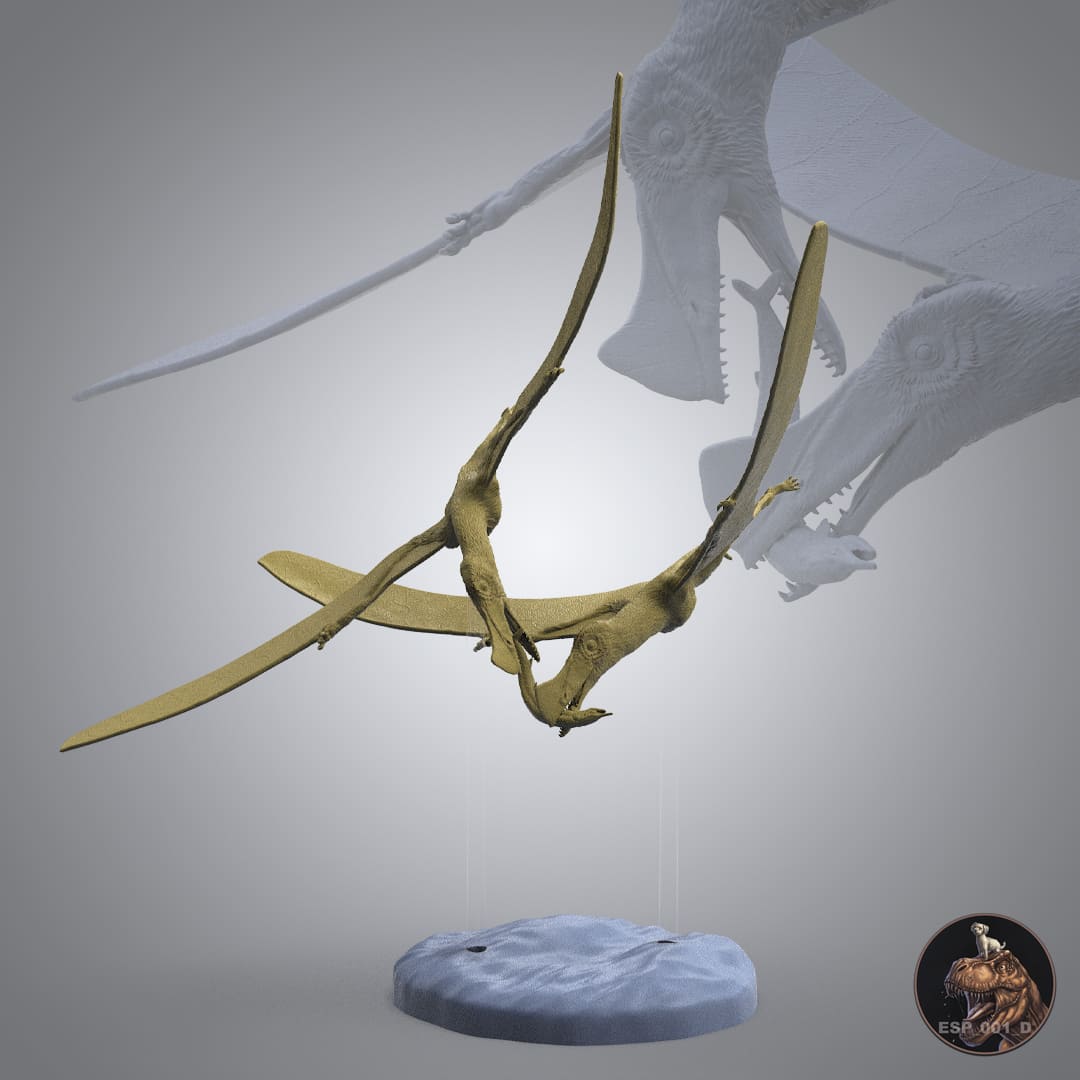 Skiphosoura bavarica