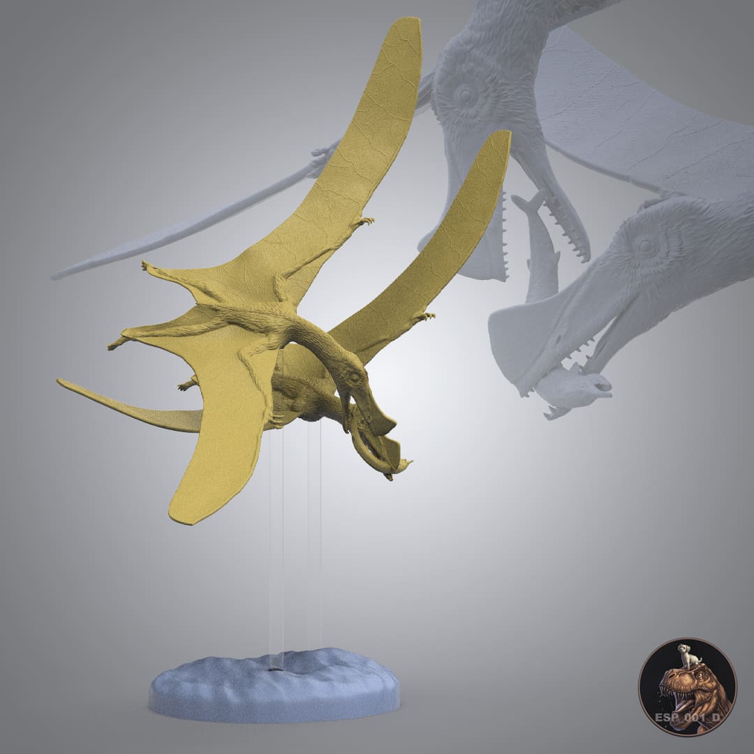 Skiphosoura bavarica