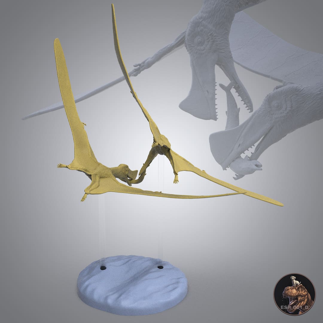 Skiphosoura bavarica