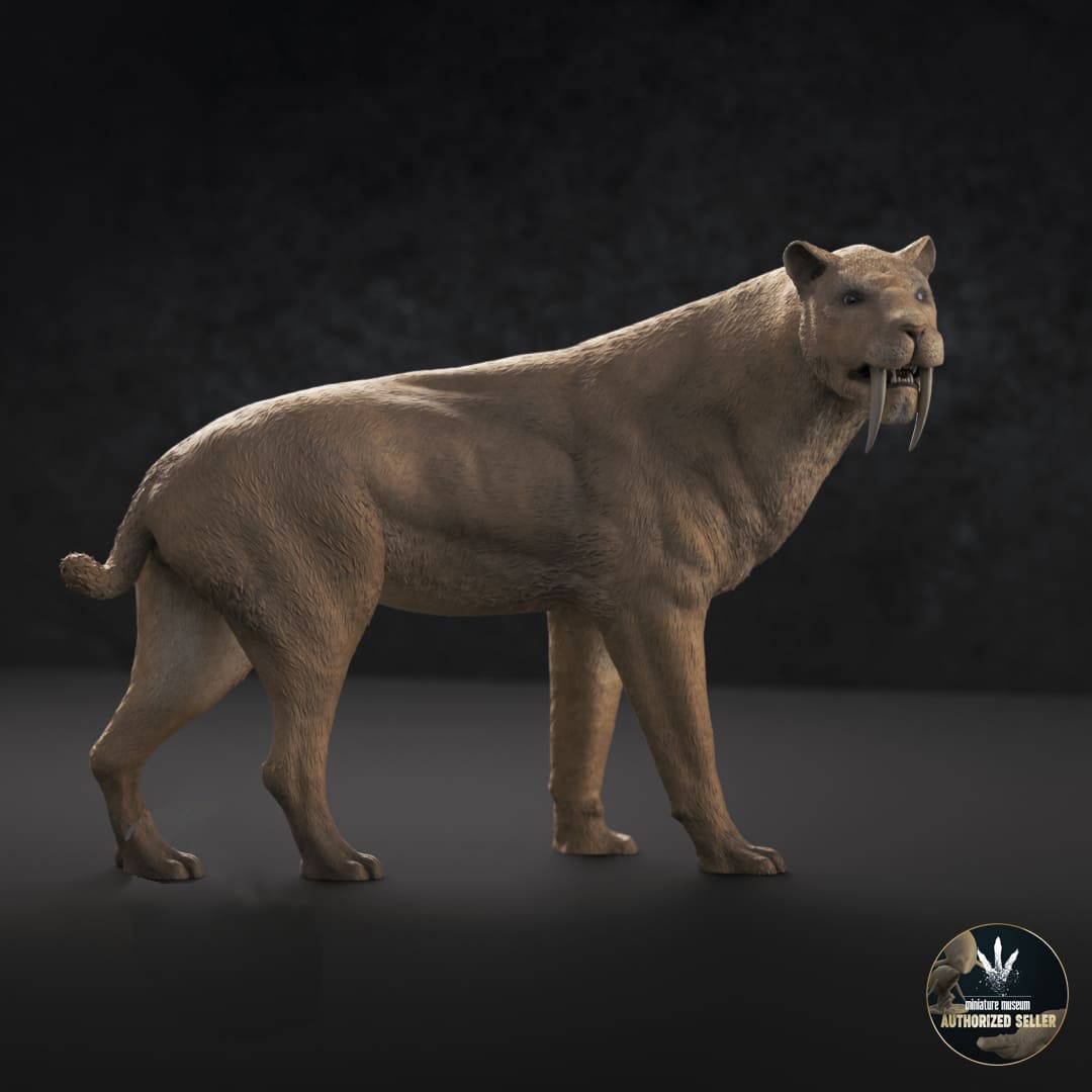 Smilodon populator