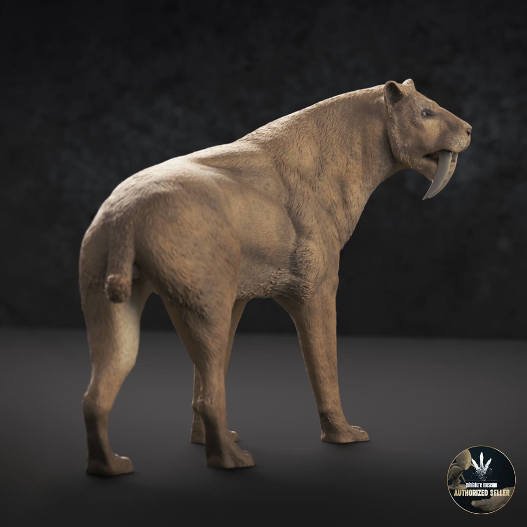 Smilodon populator