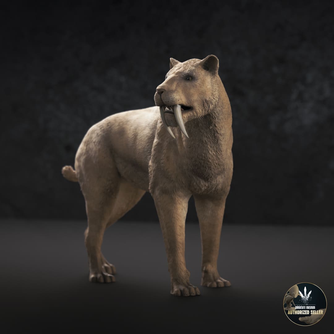 Smilodon populator