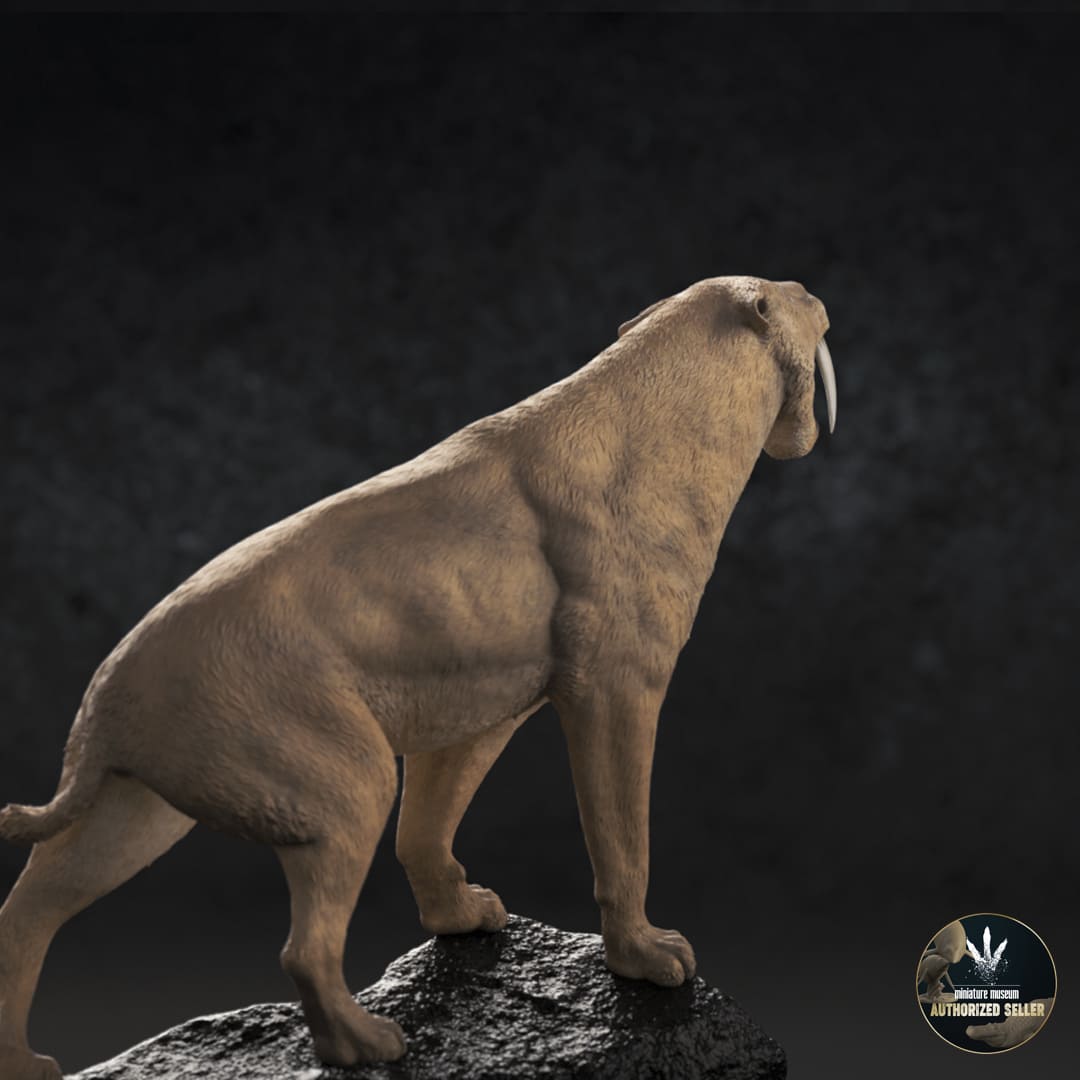 Smilodon populator – dinosauriacreatures