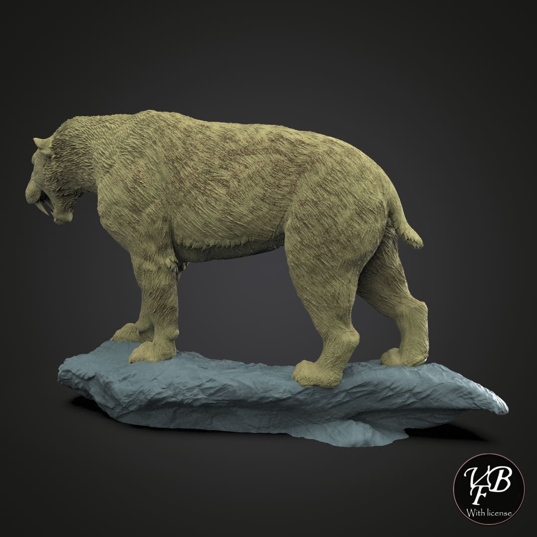 Smilodon populator