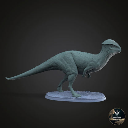 Stegoceras validum