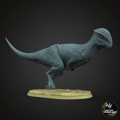 Stegoceras validum