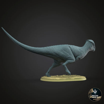 Stegoceras validum