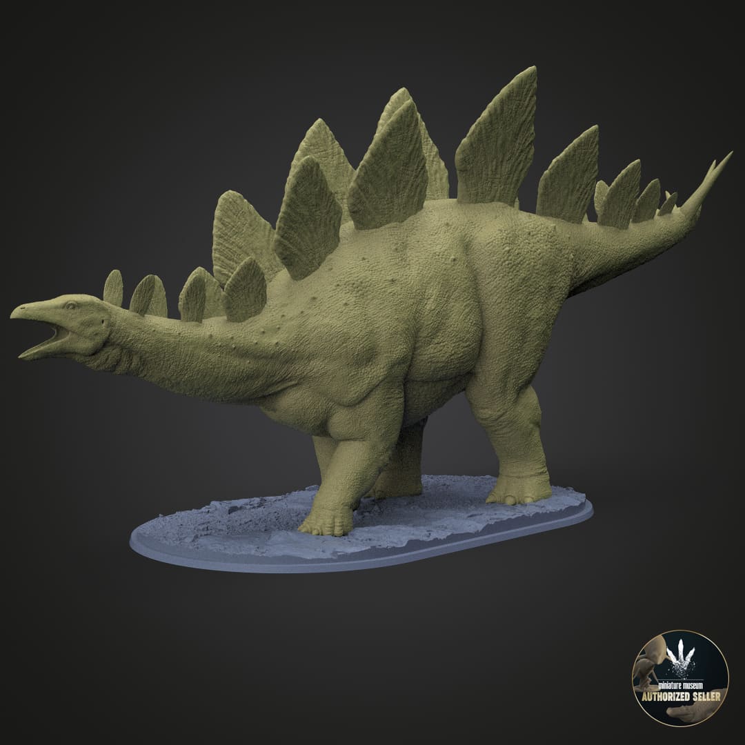 Stegosaurus stenops