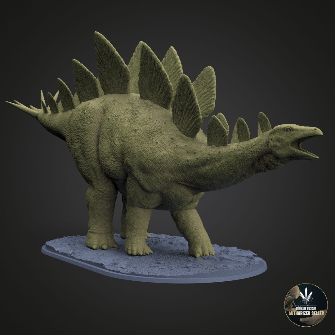 Stegosaurus stenops