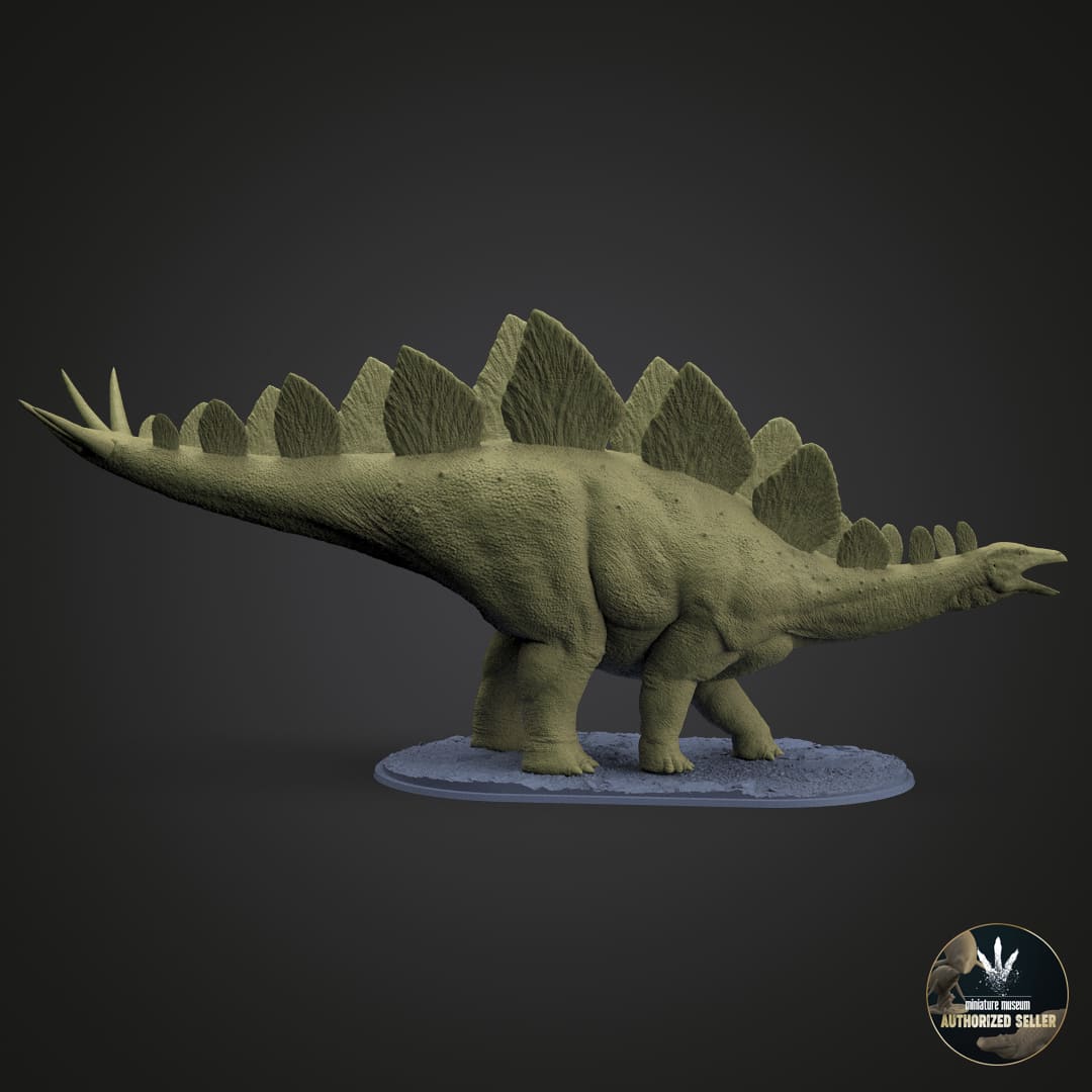 Stegosaurus stenops