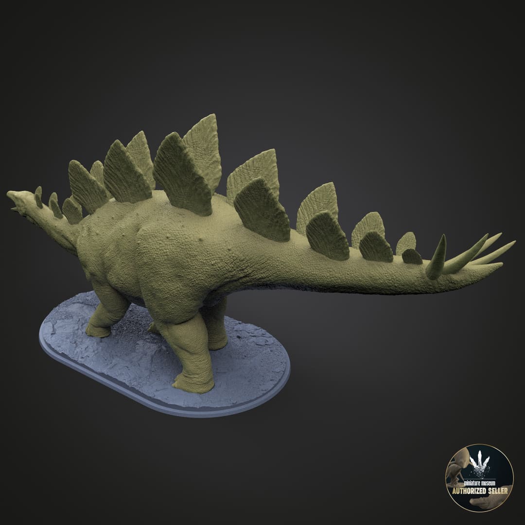 Stegosaurus stenops