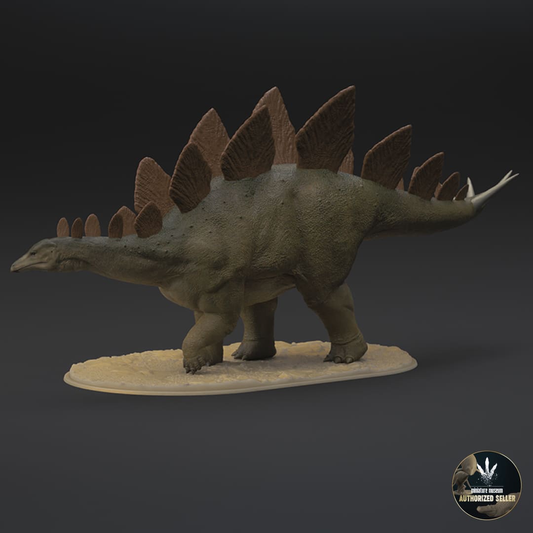 Stegosaurus stenops