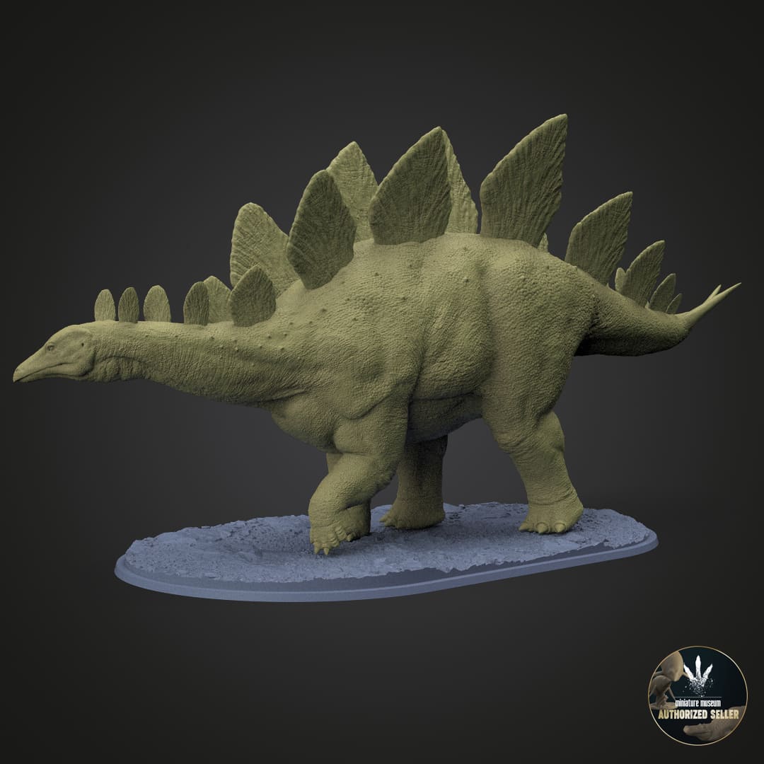 Stegosaurus stenops