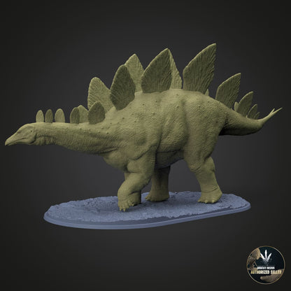 Stegosaurus stenops