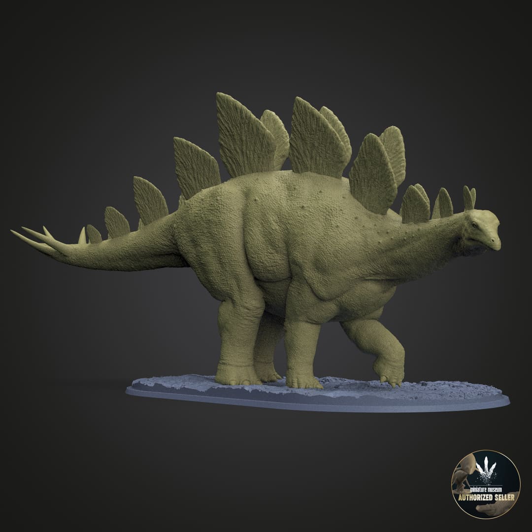 Stegosaurus stenops