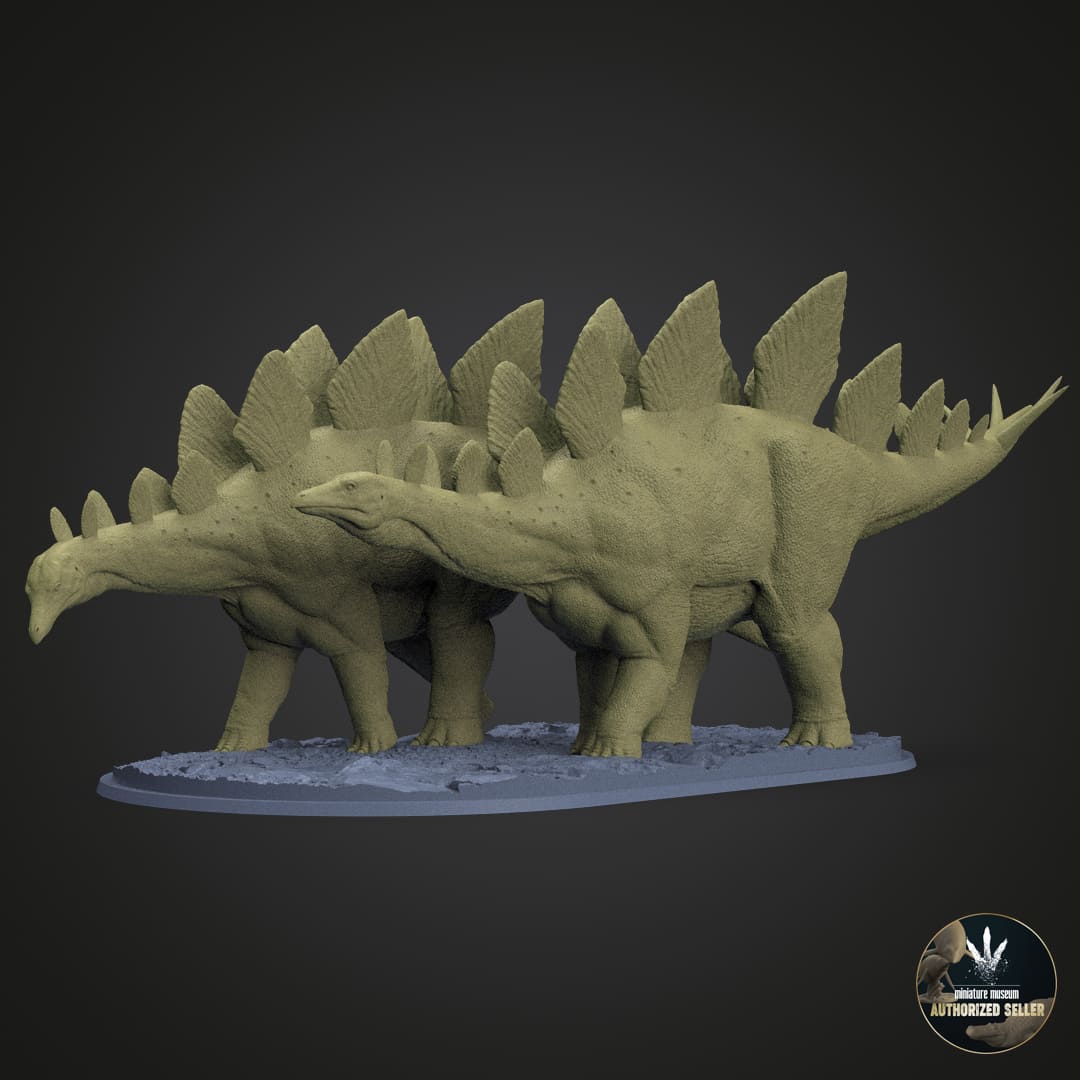 Stegosaurus stenops