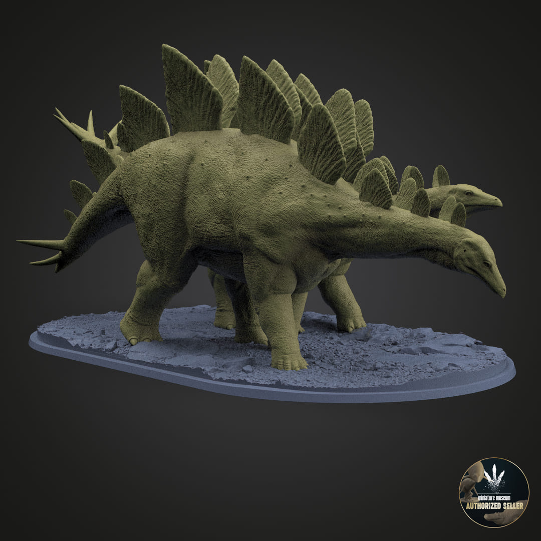 Stegosaurus stenops