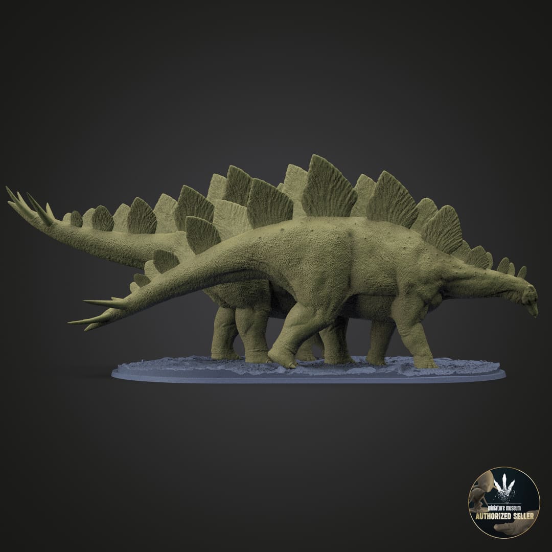 Stegosaurus stenops