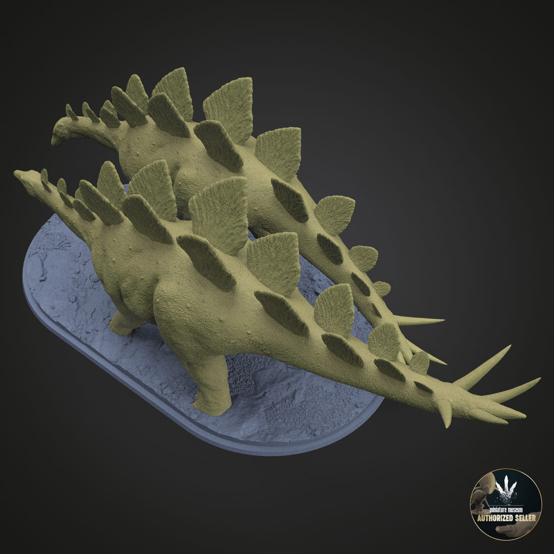 Stegosaurus stenops