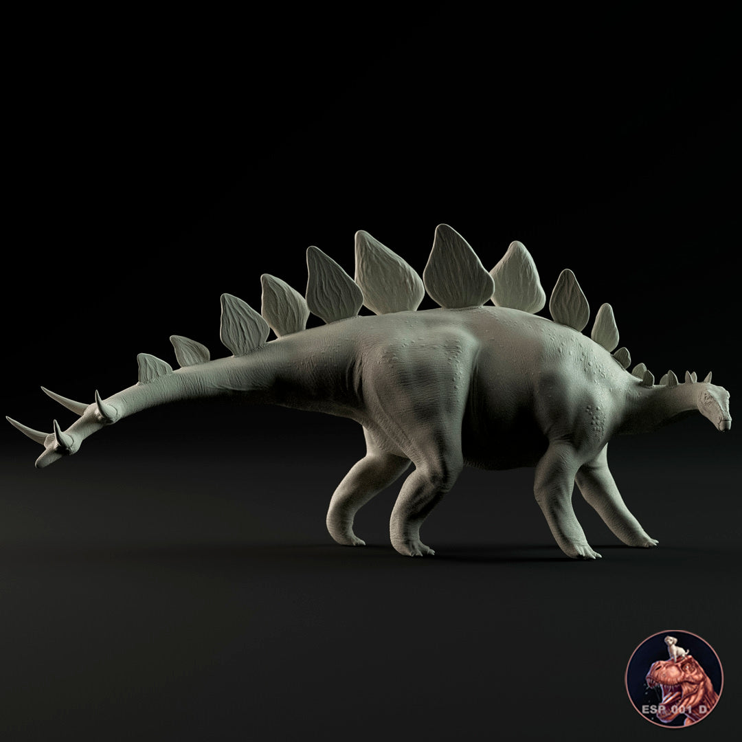 Stegosaurus stenops