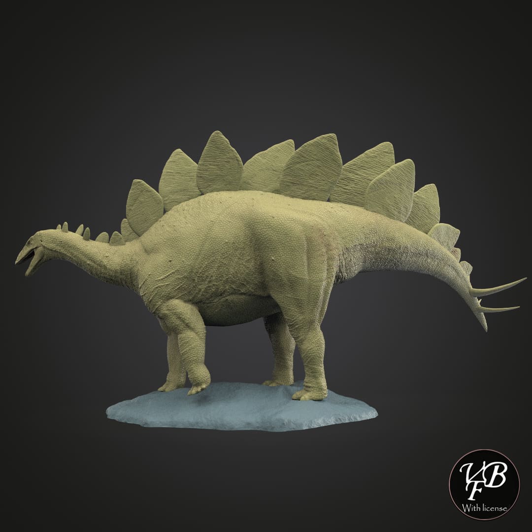 Stegosaurus stenops