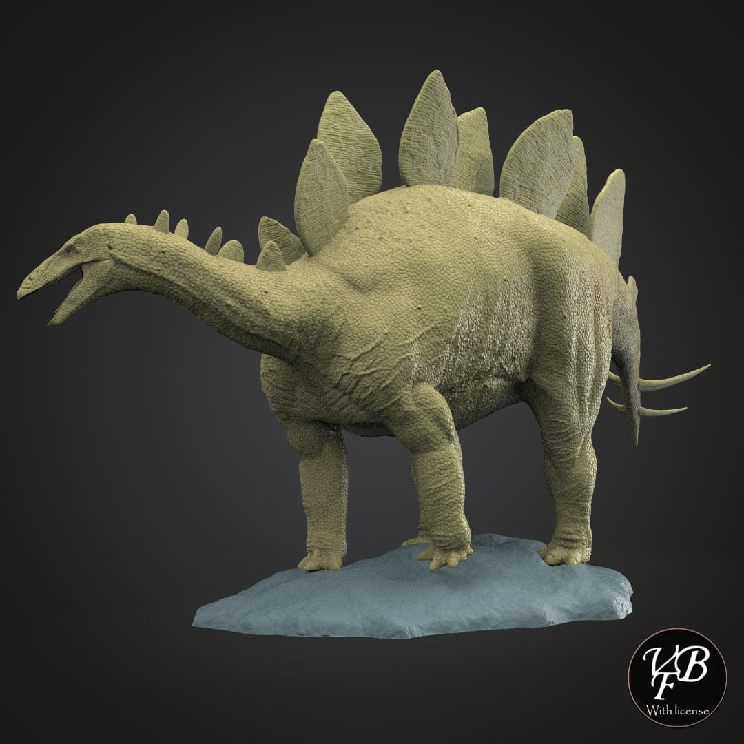 Stegosaurus stenops