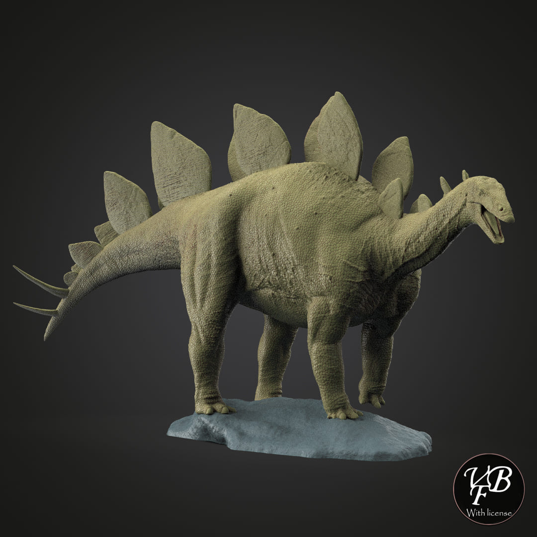 Stegosaurus stenops