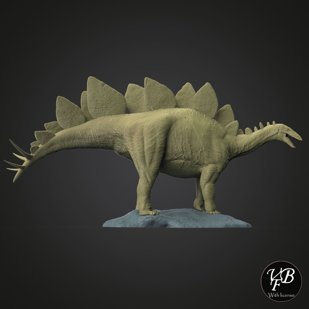 Stegosaurus stenops