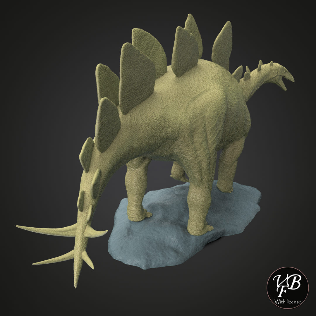 Stegosaurus stenops