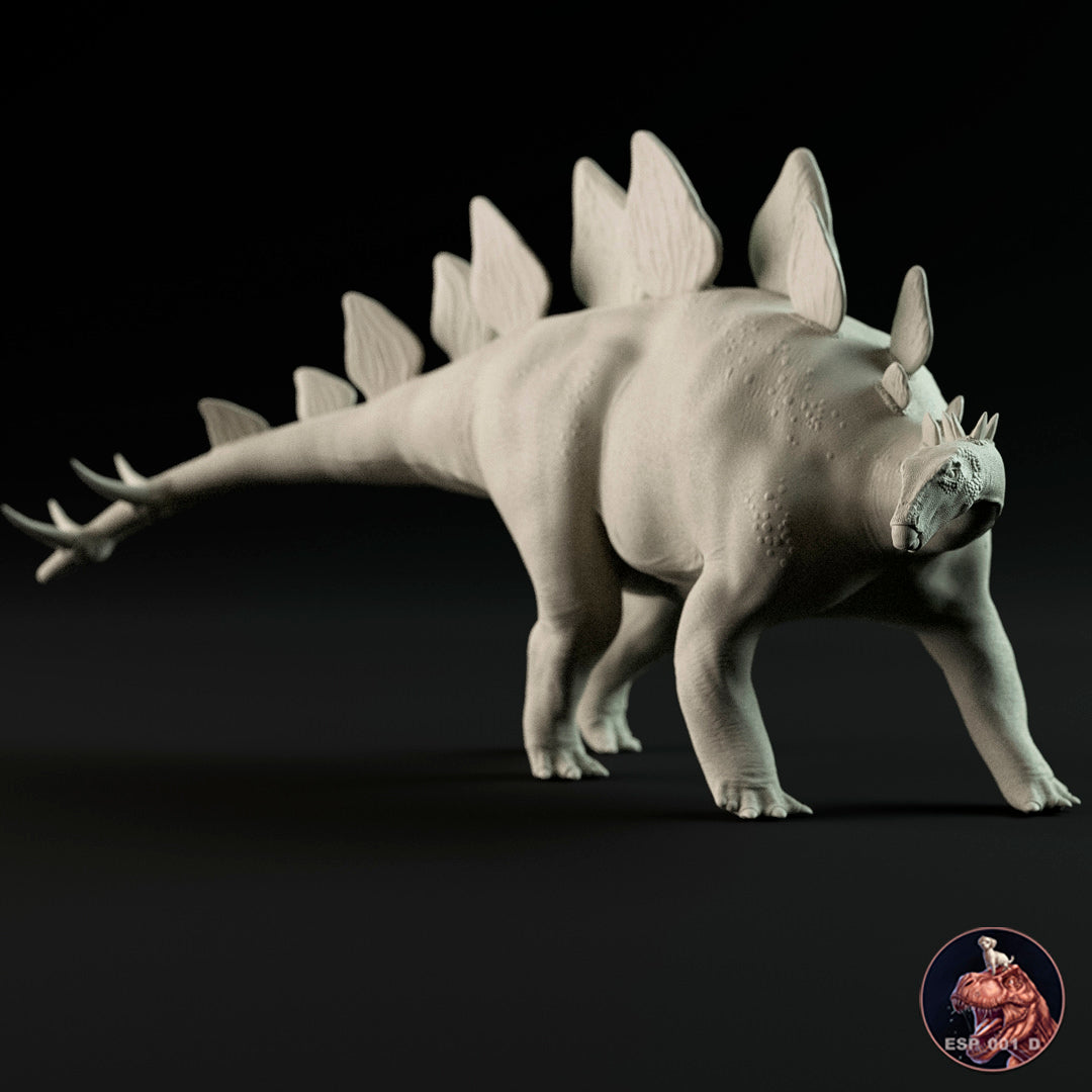 Stegosaurus stenops