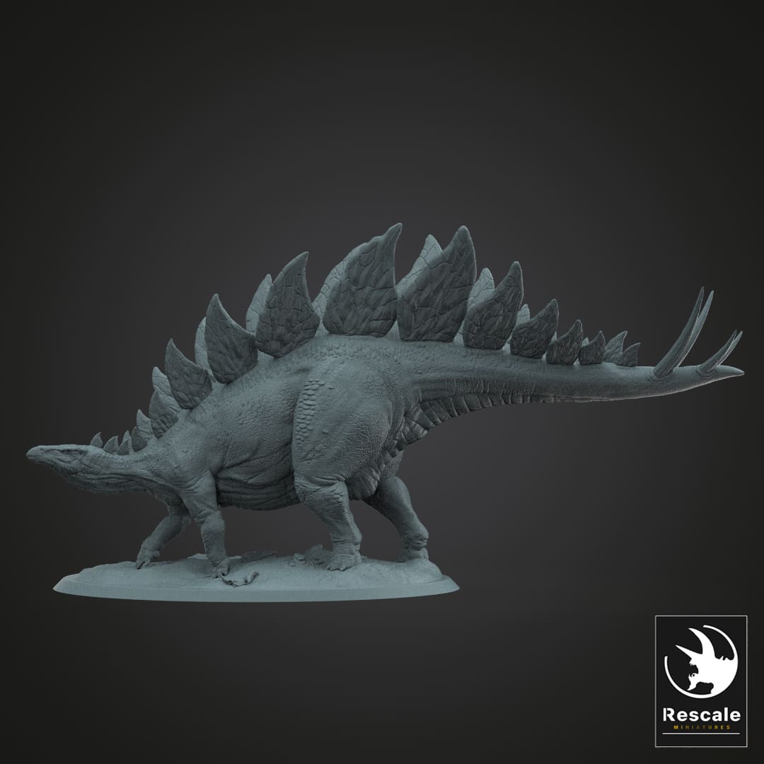 Stegosaurus stenops