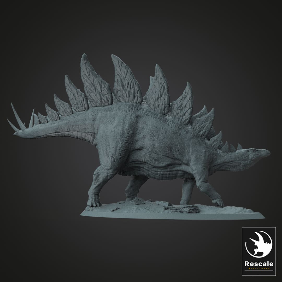 Stegosaurus stenops