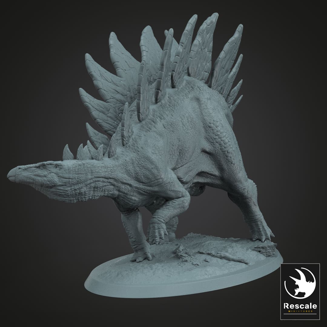 Stegosaurus stenops