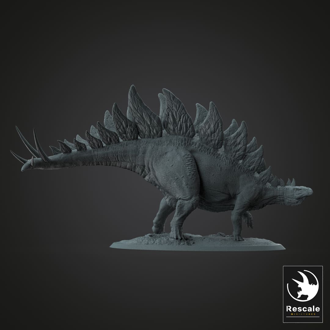Stegosaurus stenops