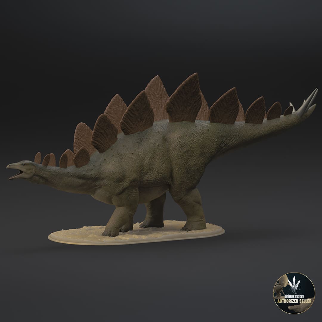 Stegosaurus stenops