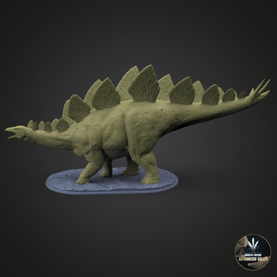 Stegosaurus stenops